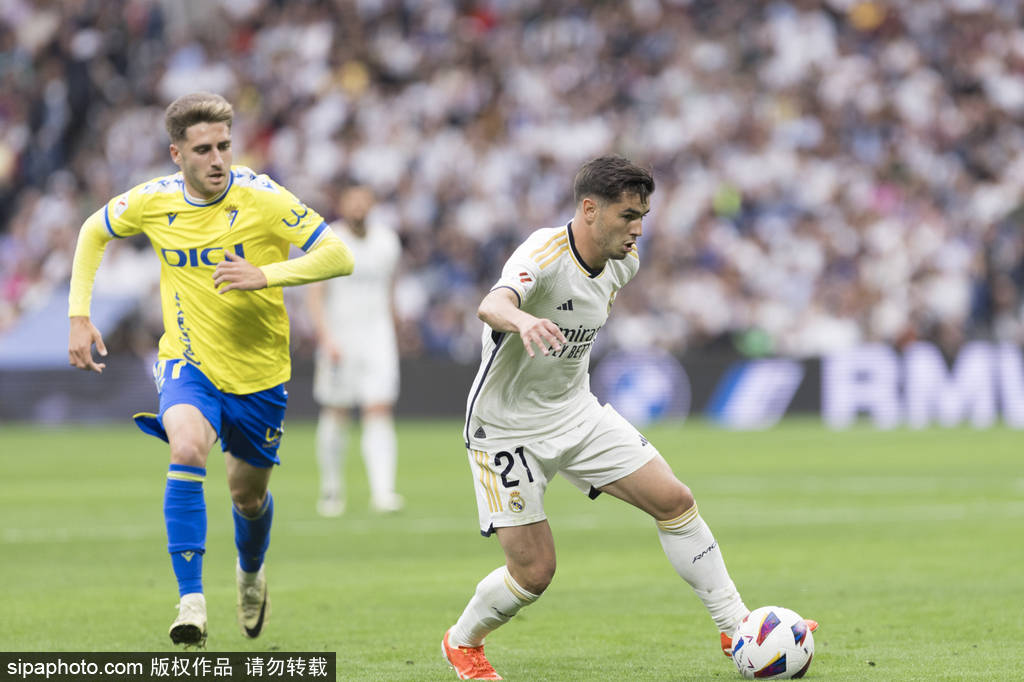 到来将带来 到来将带来