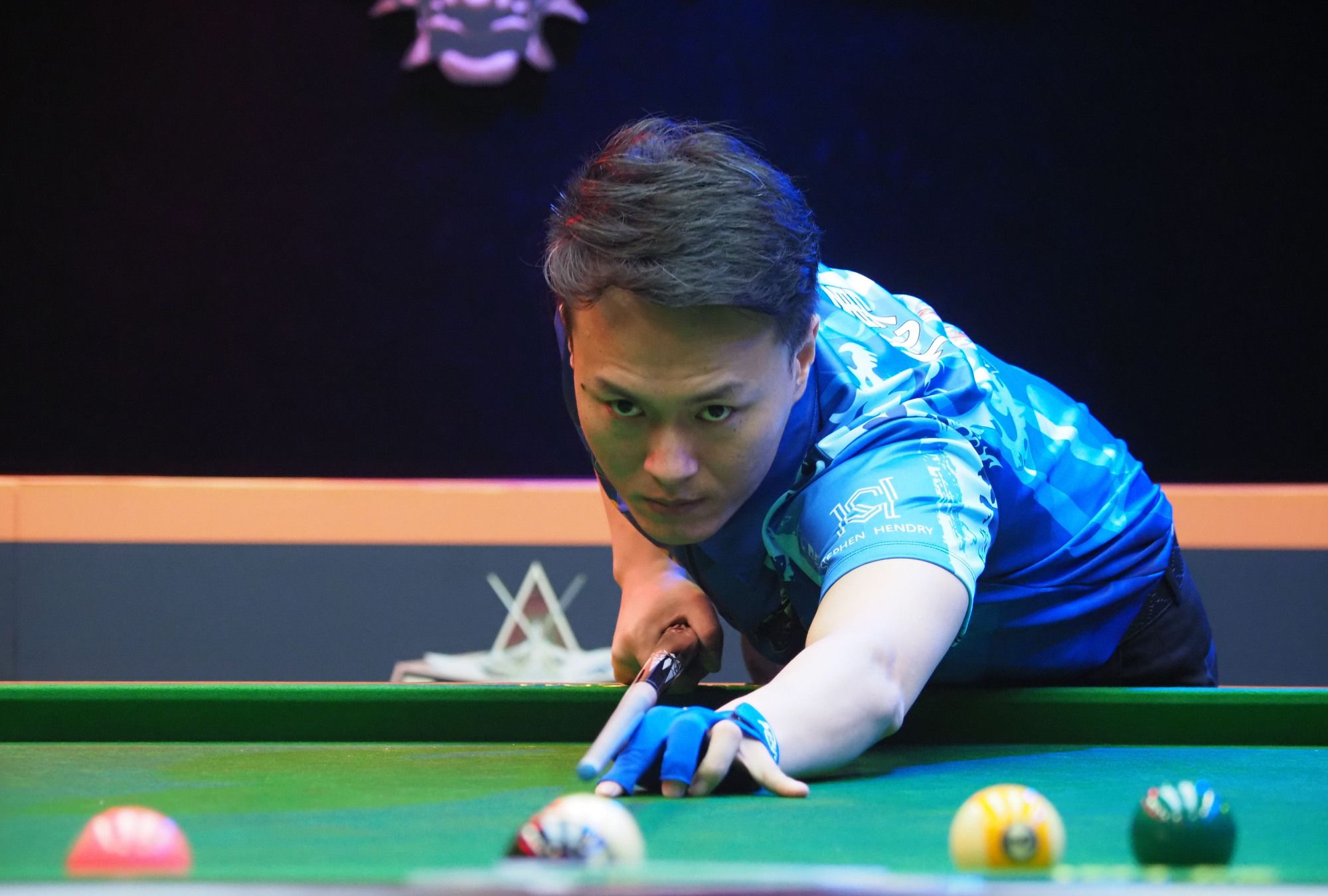 纽约球迷已 纽约球迷已